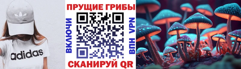 KRAKEN tor  Верхний Уфалей  Псилоцибиновые грибы мицелий 